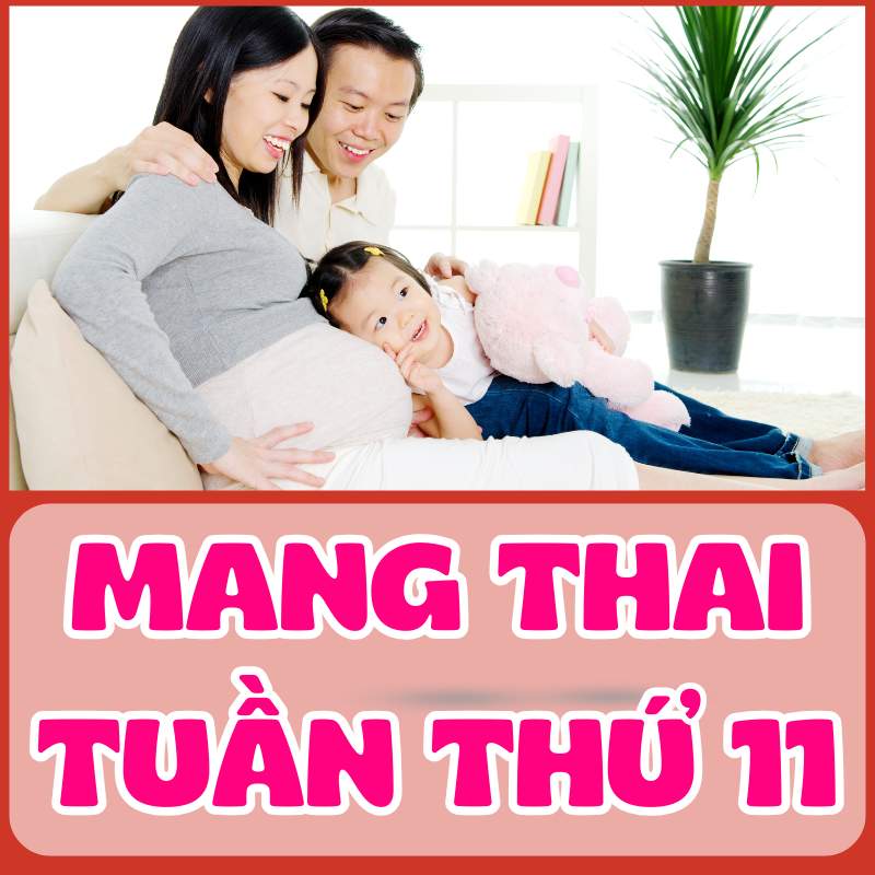 Mẹ bầu mang thai tuần thứ 11 hạnh phúc cùng gia đình